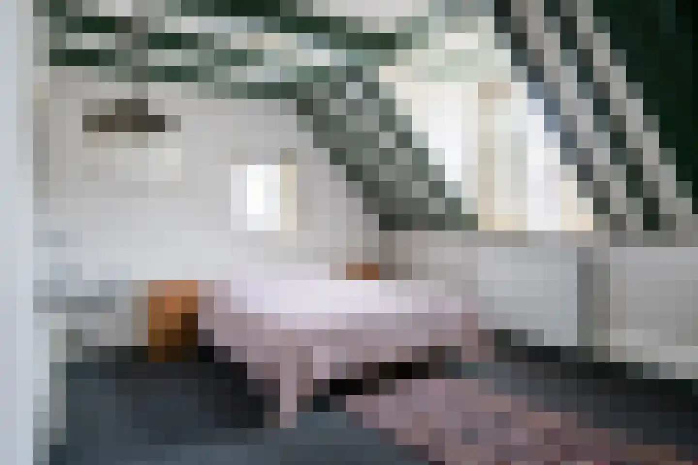 Nieuwstraat 28 Goes thumbnail 22