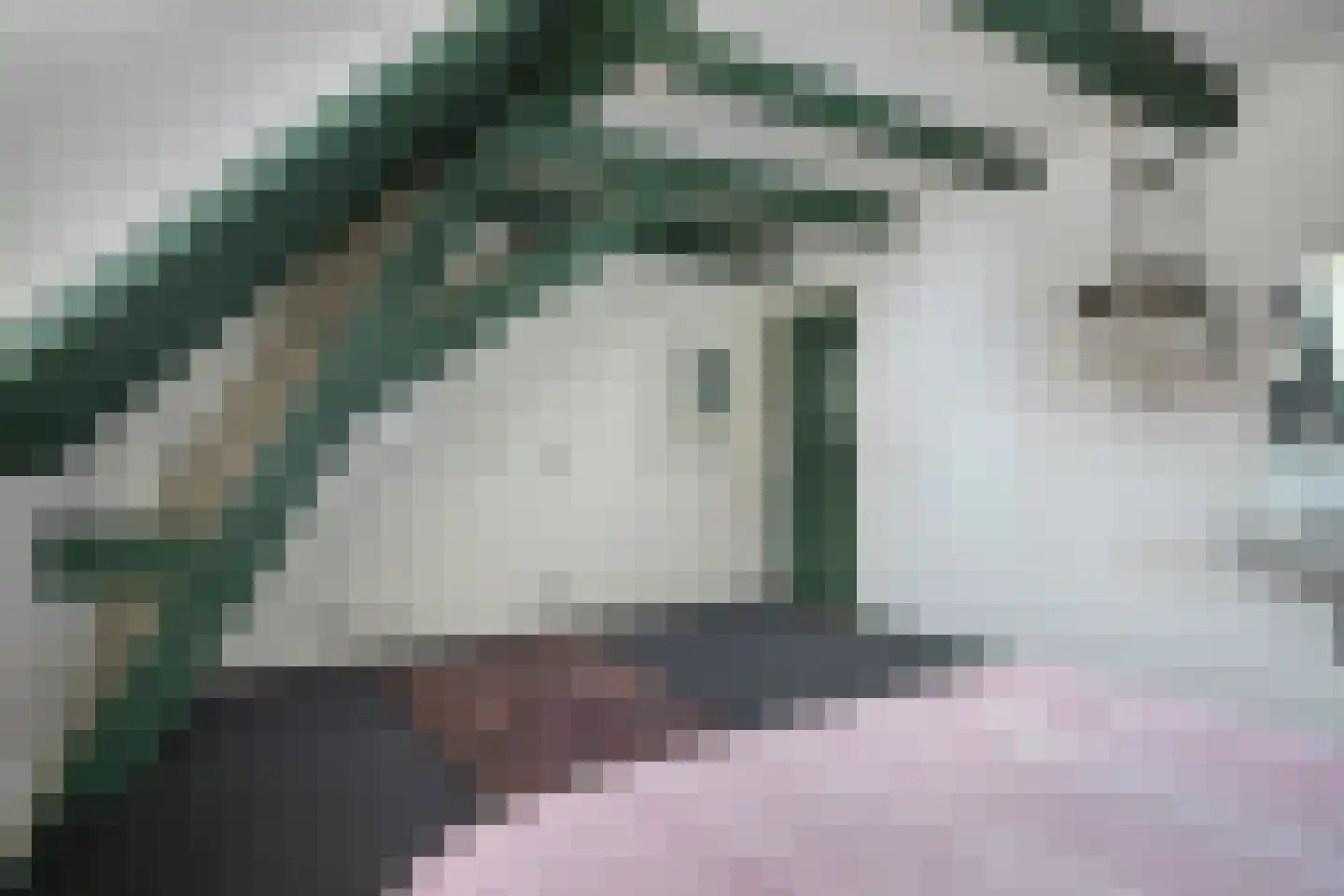 Nieuwstraat 28 Goes thumbnail 23
