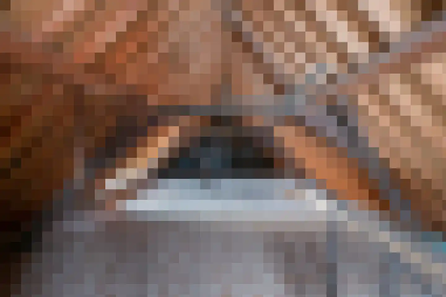 Nieuwstraat 28 Goes thumbnail 31
