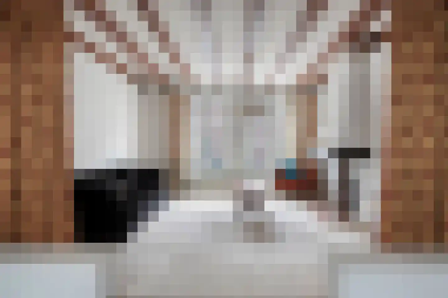 Nieuwstraat 28 Goes thumbnail 4