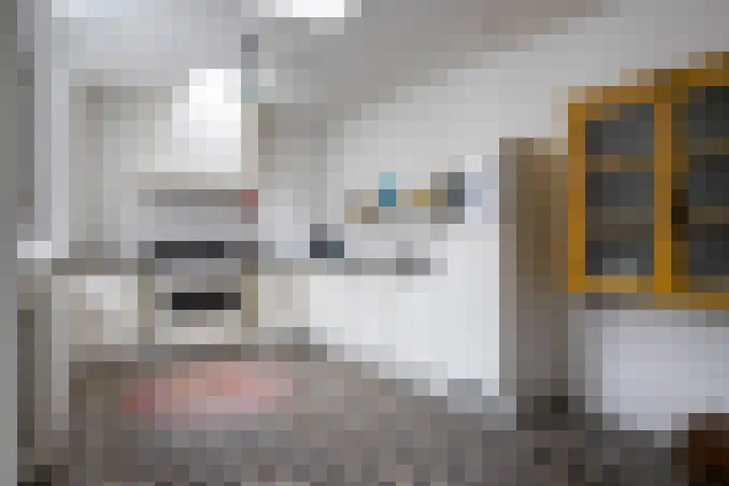 Nieuwstraat 28 Goes thumbnail 8