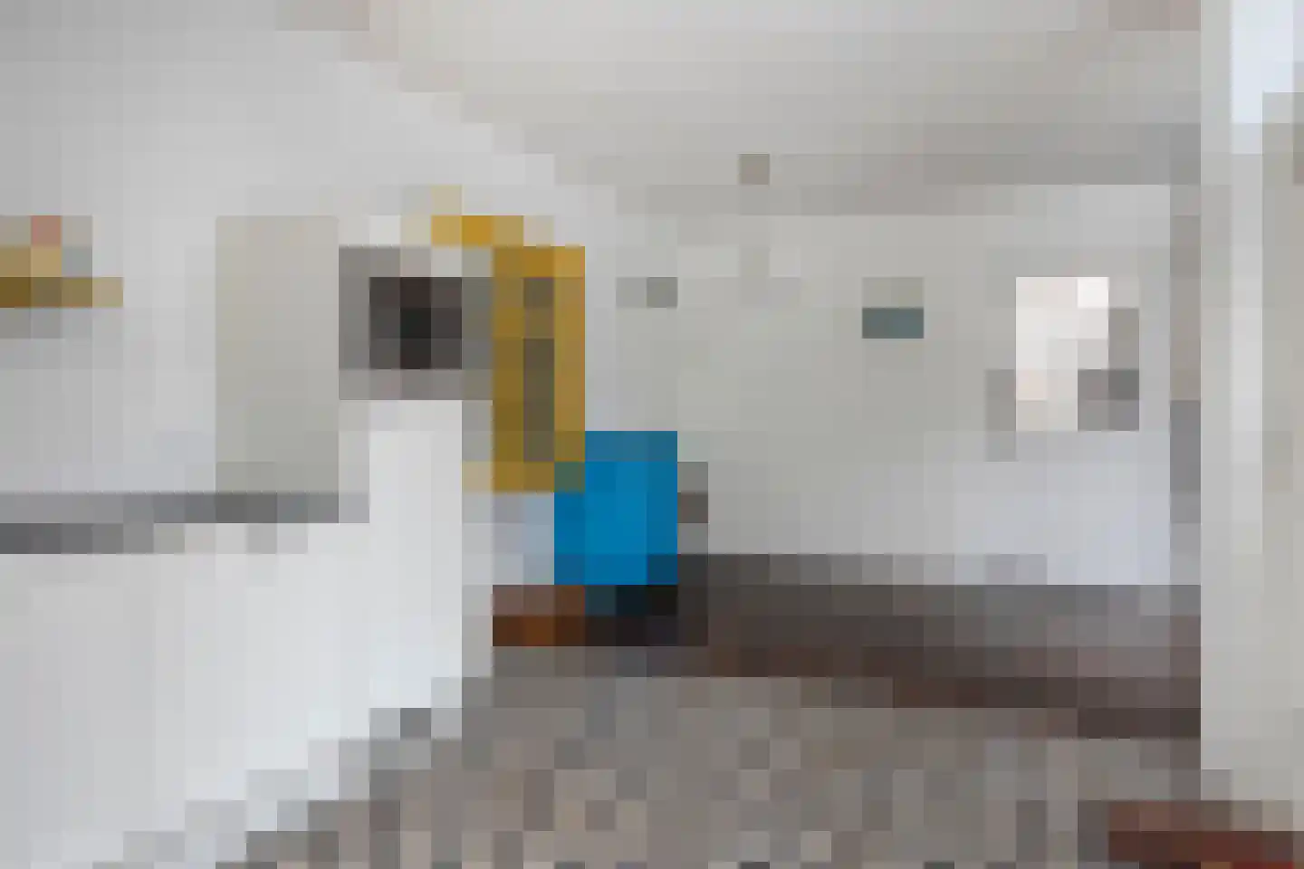 Nieuwstraat 28 Goes thumbnail 9