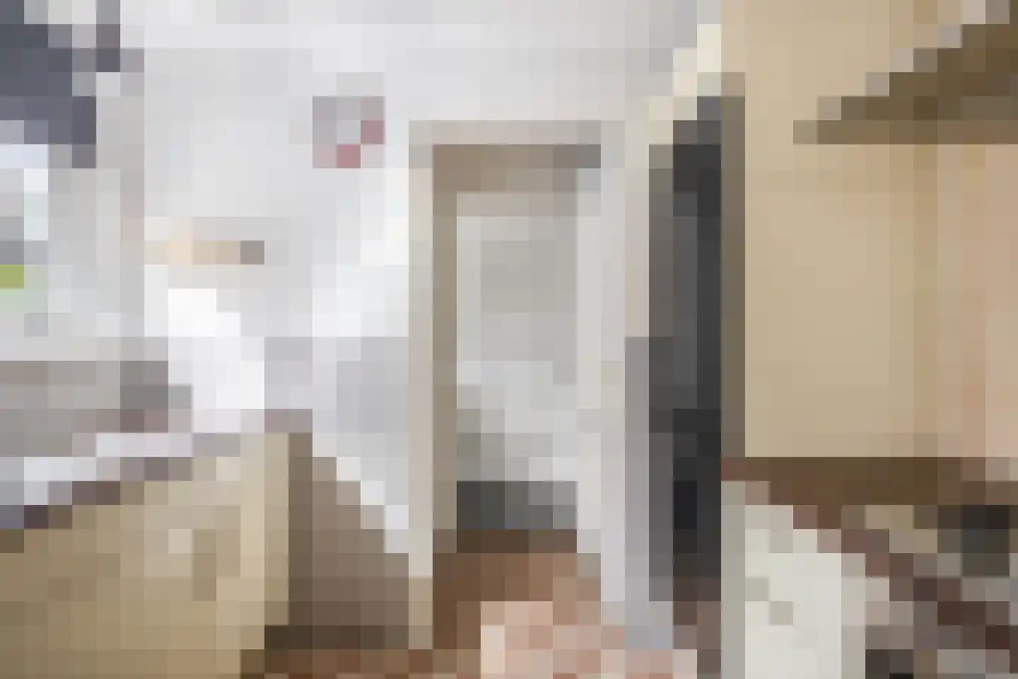 Nieuwstraat 28 Herkingen thumbnail 22