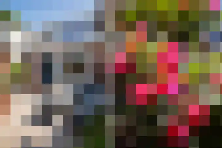 Nieuwstraat 28 Nieuw-Vennep thumbnail 6