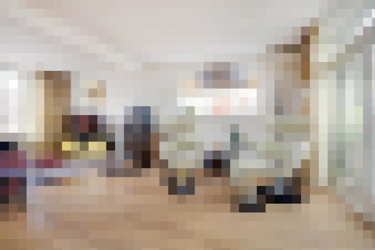 Nieuwstraat 28 Stein thumbnail 18