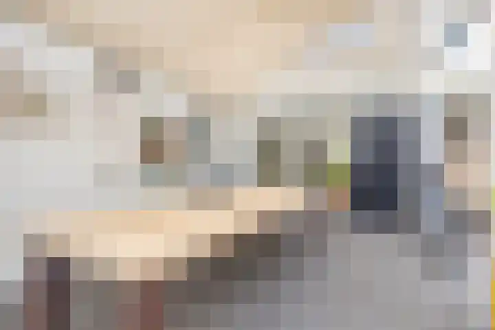Nieuwstraat 28 Stein thumbnail 23