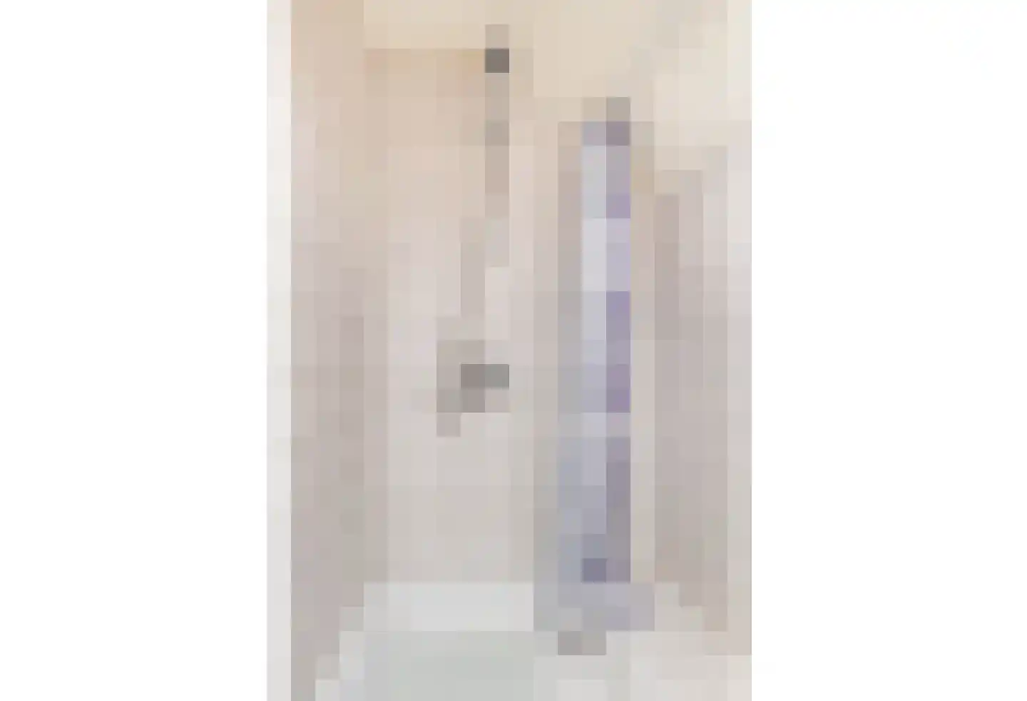 Nieuwstraat 28 Stein thumbnail 32