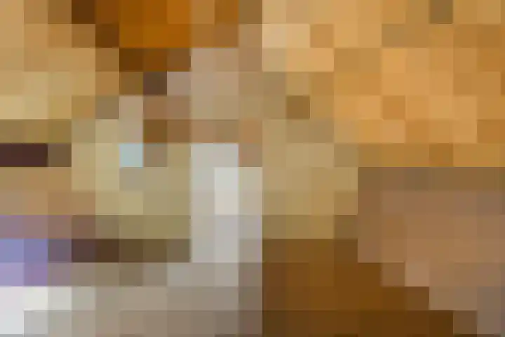Nieuwstraat 28 Stein thumbnail 33
