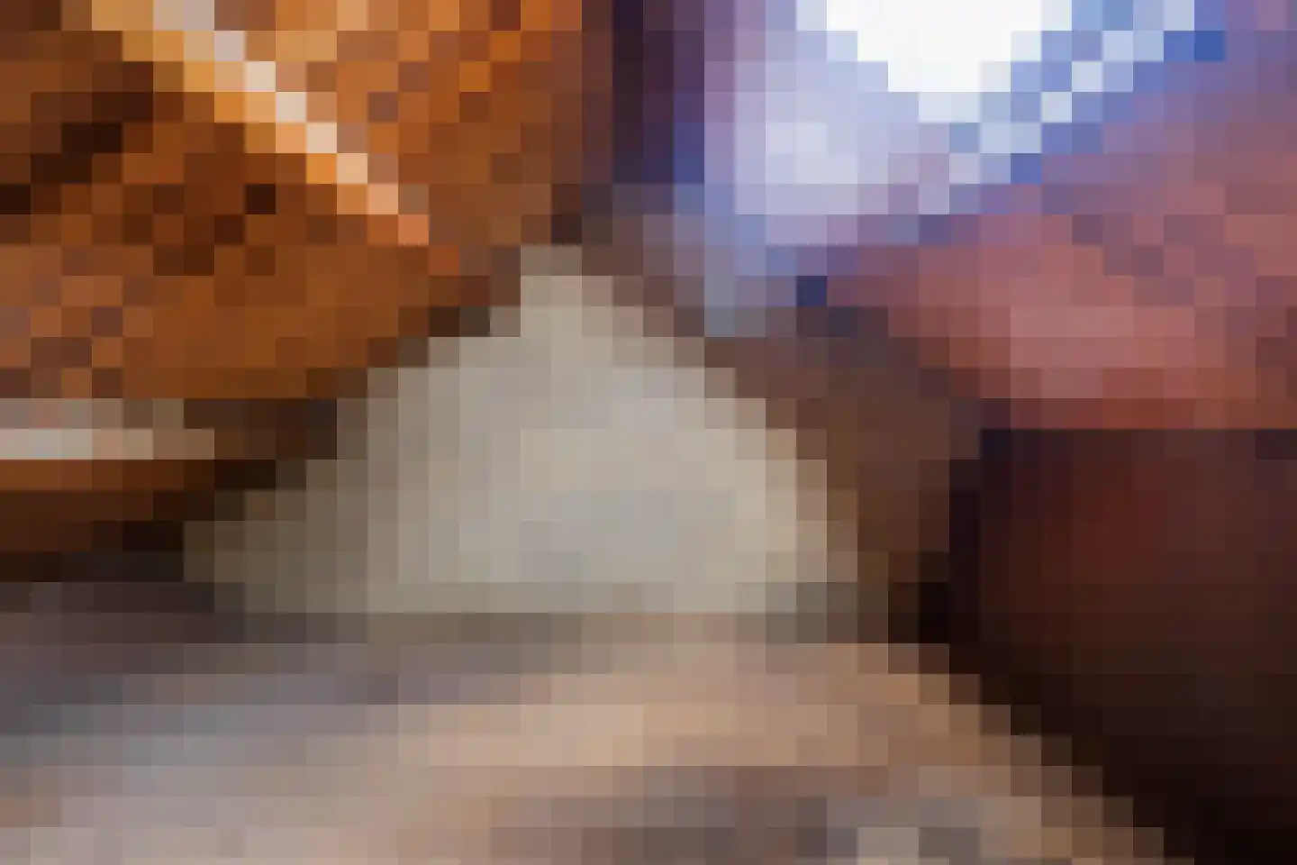 Nieuwstraat 28 Stein thumbnail 34