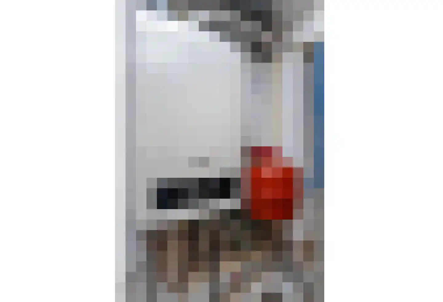 Nieuwstraat 28 Stein thumbnail 36