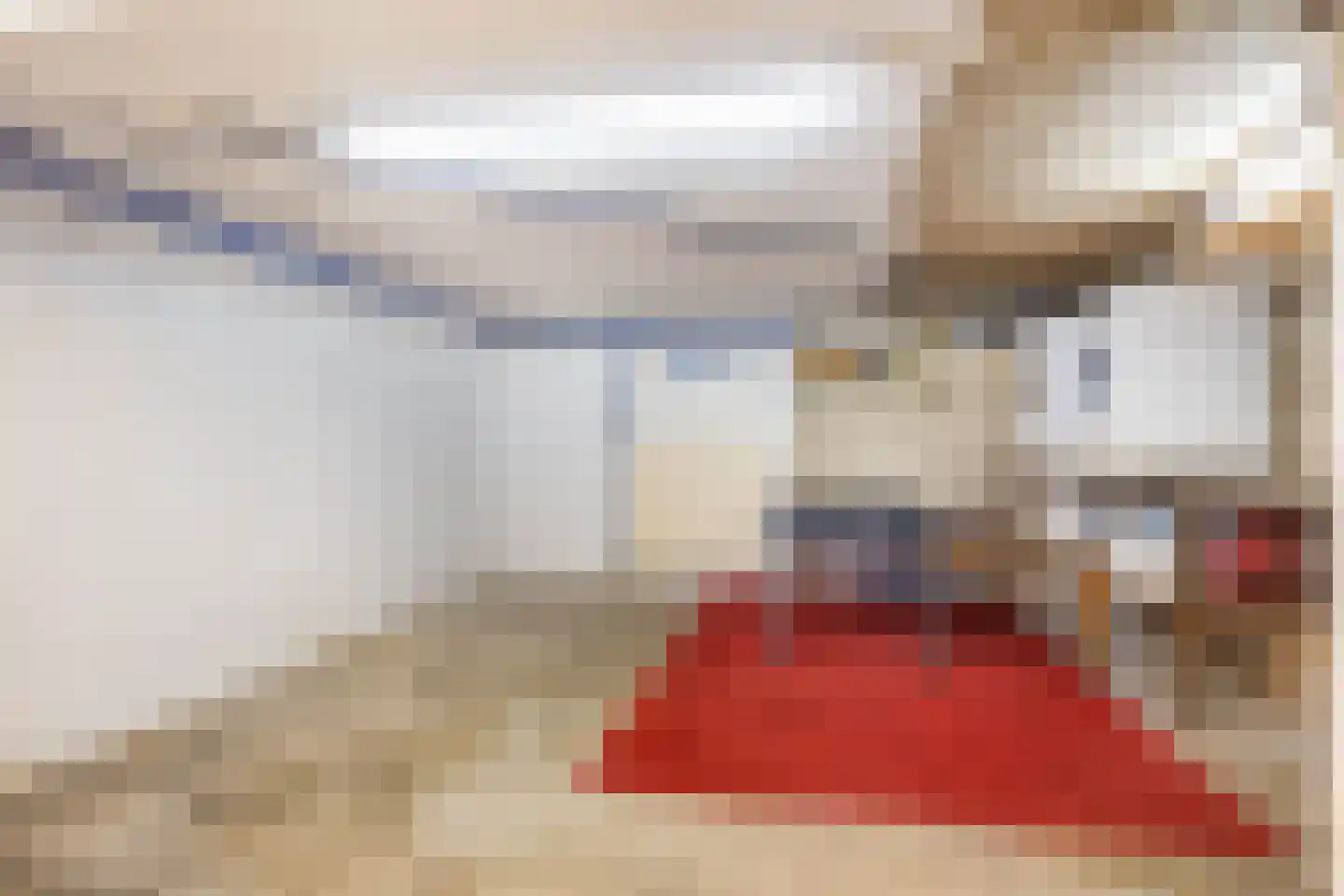 Nieuwstraat 28 Stein thumbnail 37