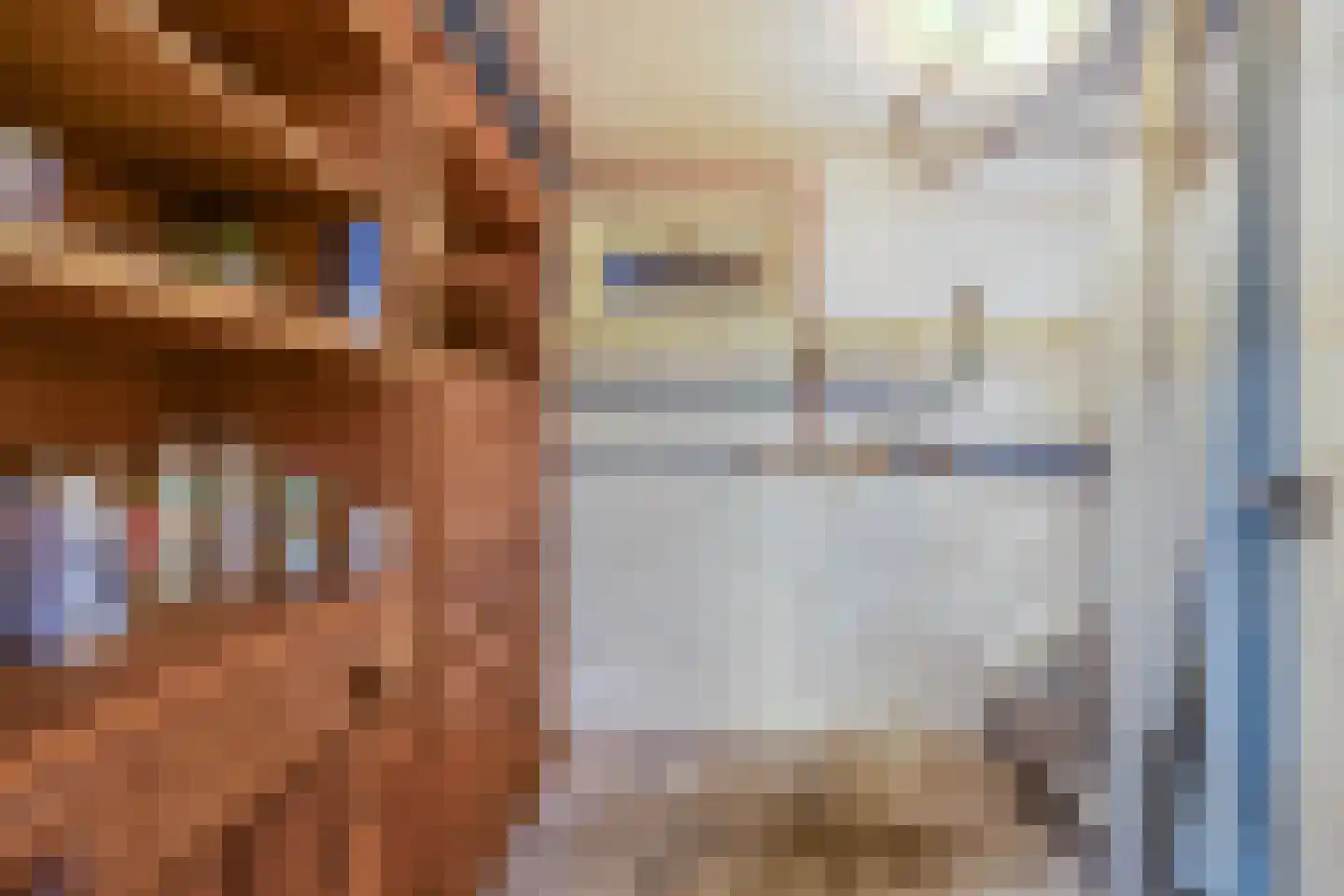 Nieuwstraat 28 Stein thumbnail 38