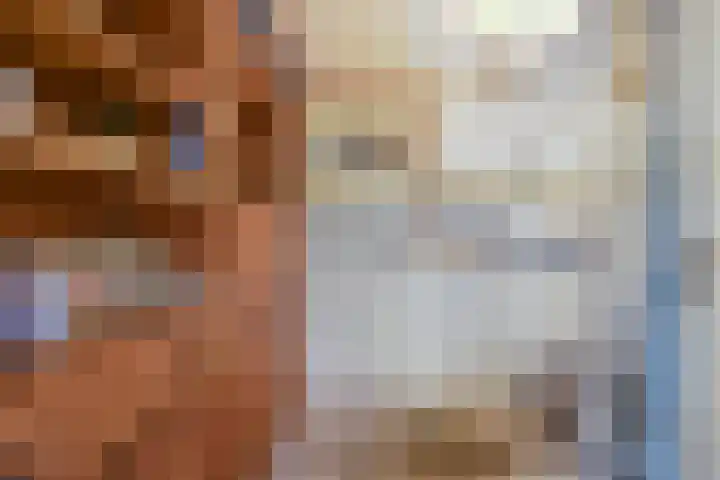 Nieuwstraat 28 Stein thumbnail 38