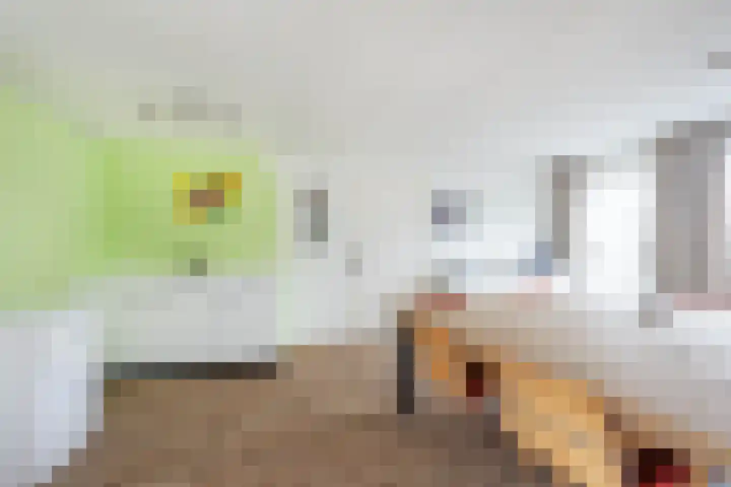 Nieuwstraat 28 Stein thumbnail 44