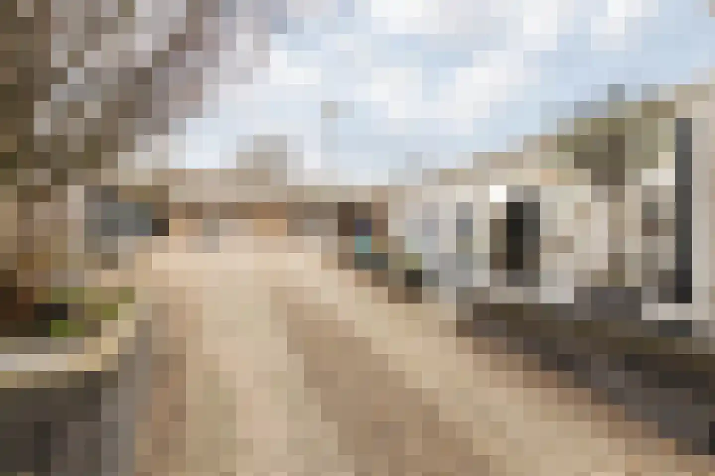 Nieuwstraat 28 Stein thumbnail 51