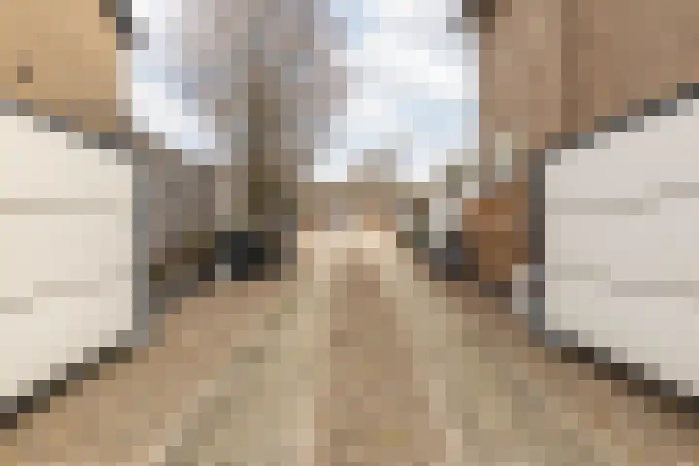 Nieuwstraat 28 Stein thumbnail 52