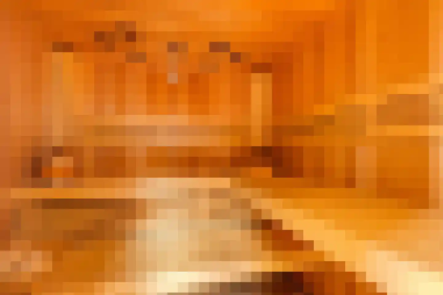 Nieuwstraat 28 Stein thumbnail 62