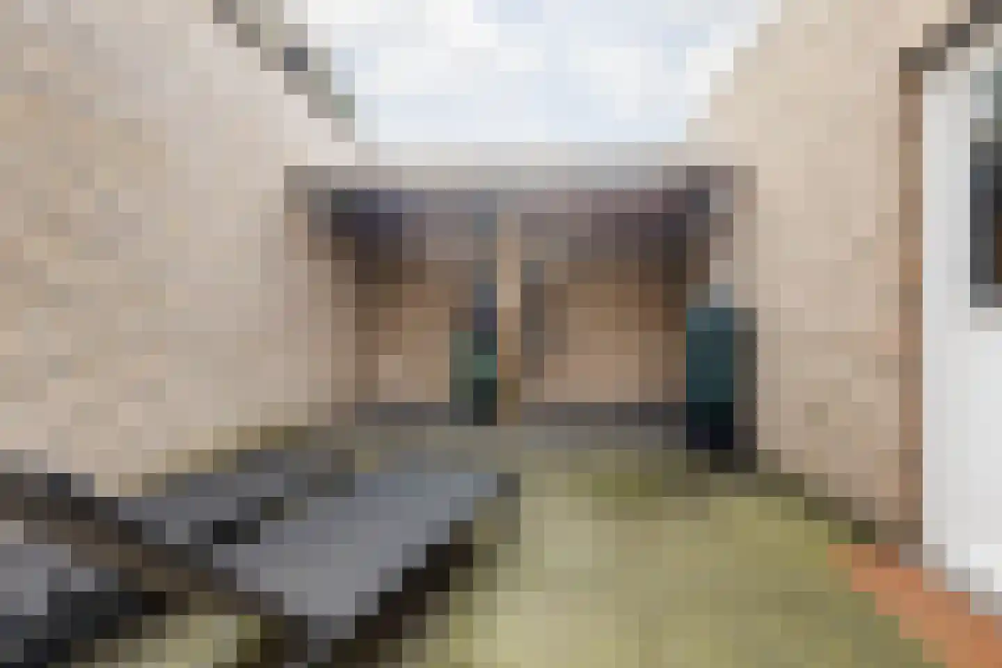 Nieuwstraat 28 Stein thumbnail 66