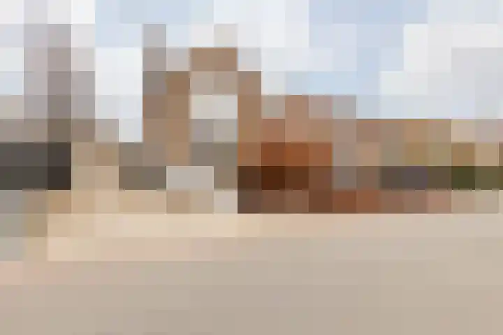 Nieuwstraat 28 Stein thumbnail 7