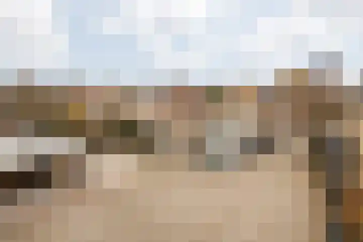 Nieuwstraat 28 Stein thumbnail 71