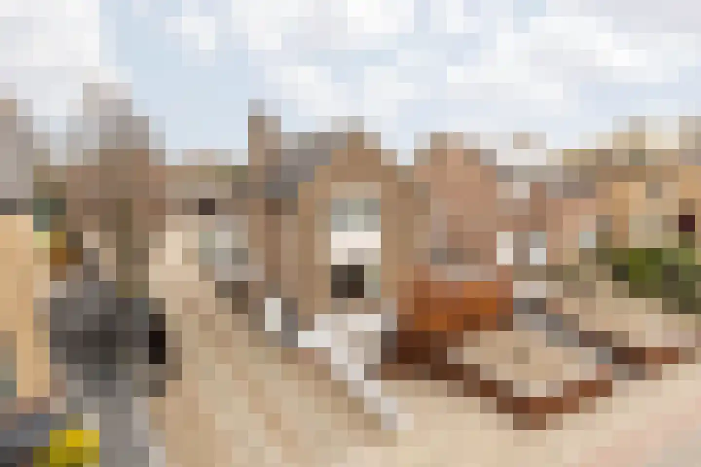 Nieuwstraat 28 Stein thumbnail 72