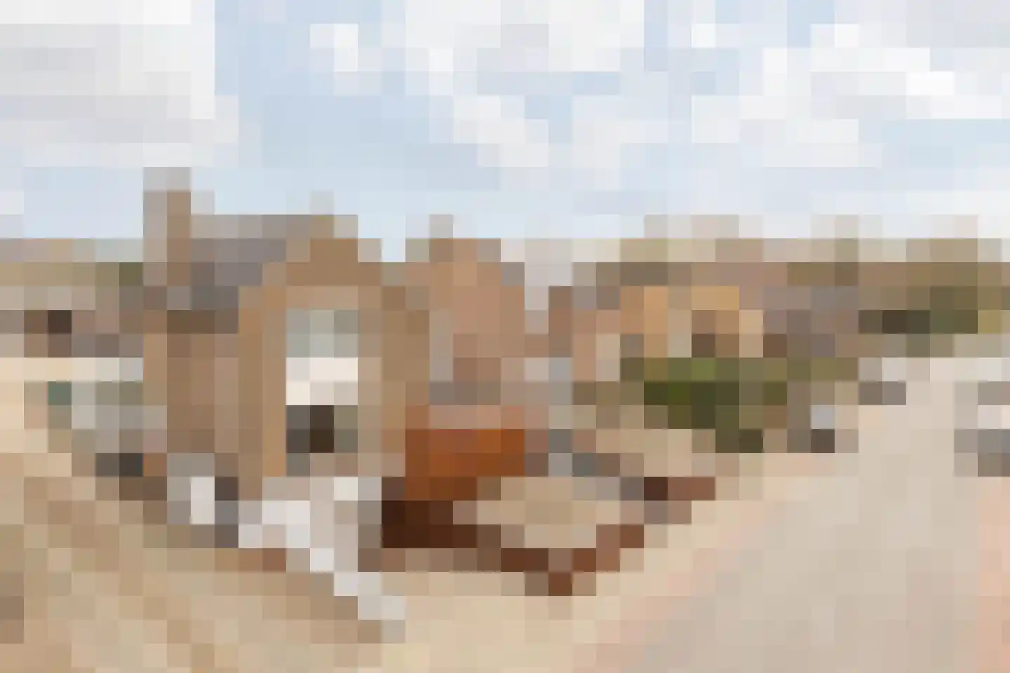 Nieuwstraat 28 Stein thumbnail 74