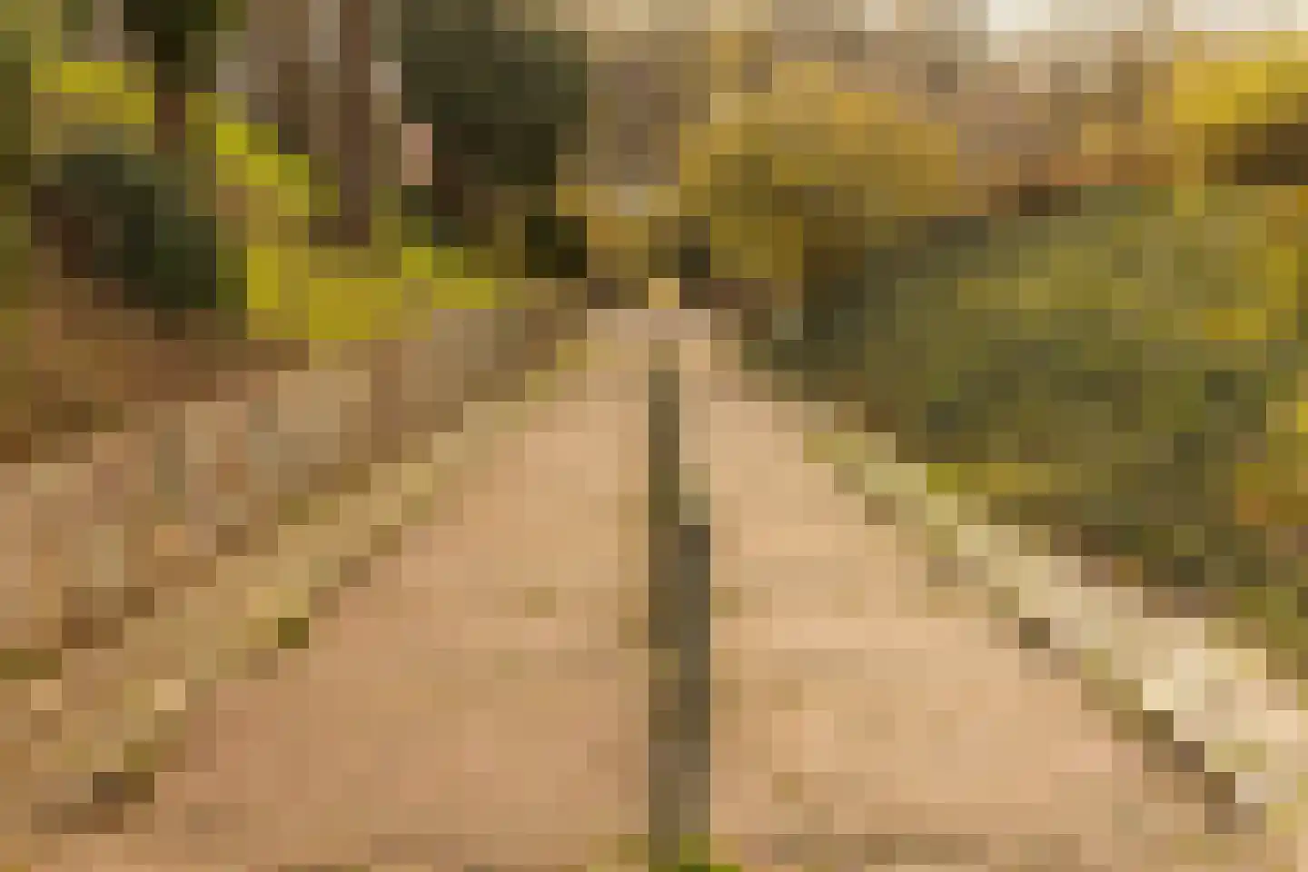 Nieuwstraat 28 Stein thumbnail 75