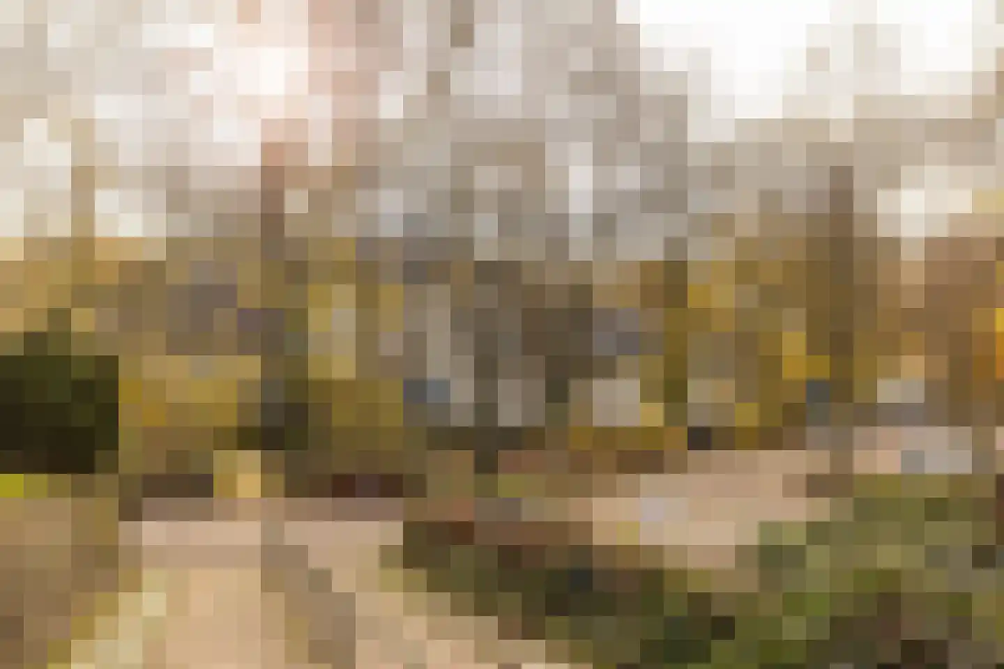 Nieuwstraat 28 Stein thumbnail 76
