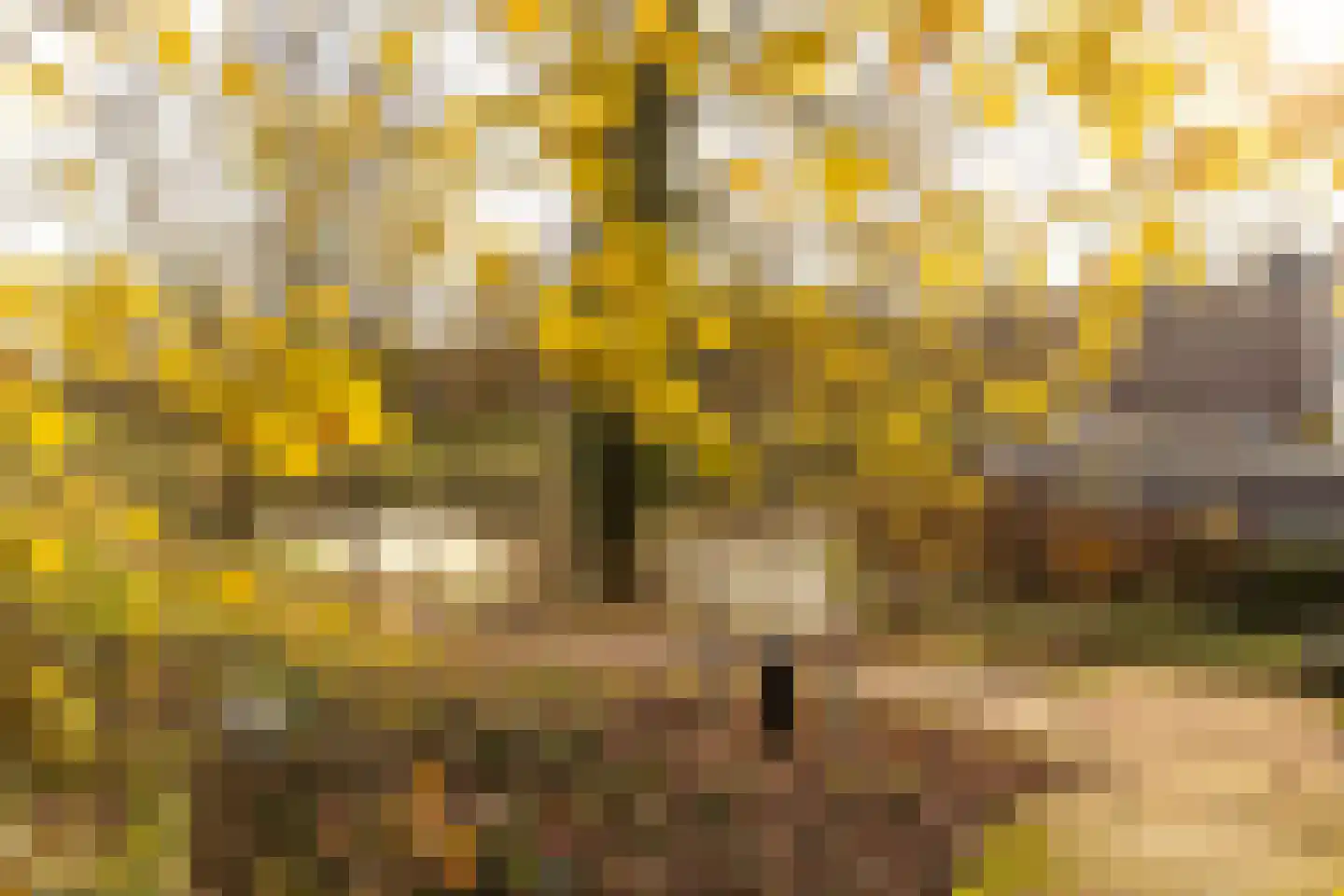 Nieuwstraat 28 Stein thumbnail 78