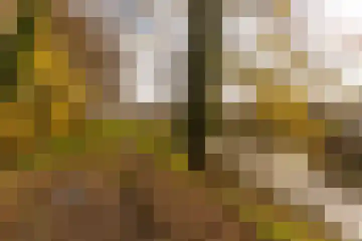 Nieuwstraat 28 Stein thumbnail 80