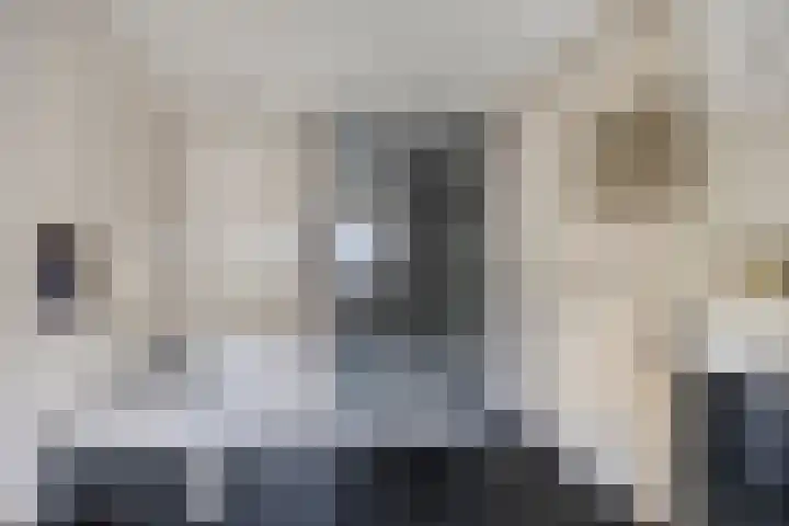 Nieuwstraat 28 Vught thumbnail 28
