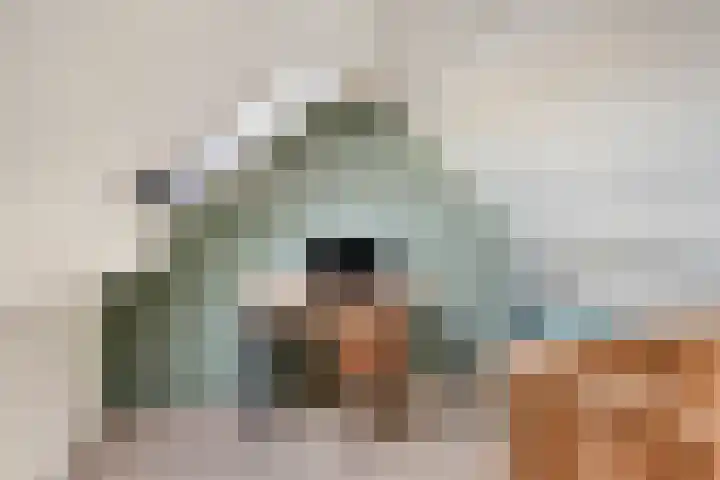 Nieuwstraat 28 Vught thumbnail 34