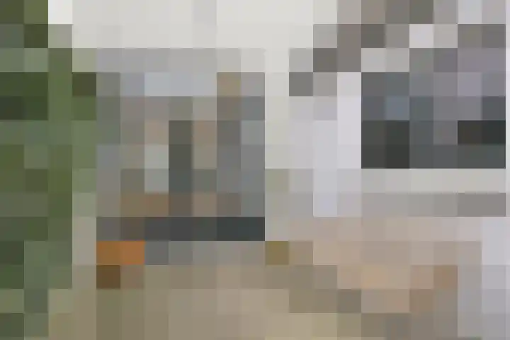 Nieuwstraat 28 Vught thumbnail 35