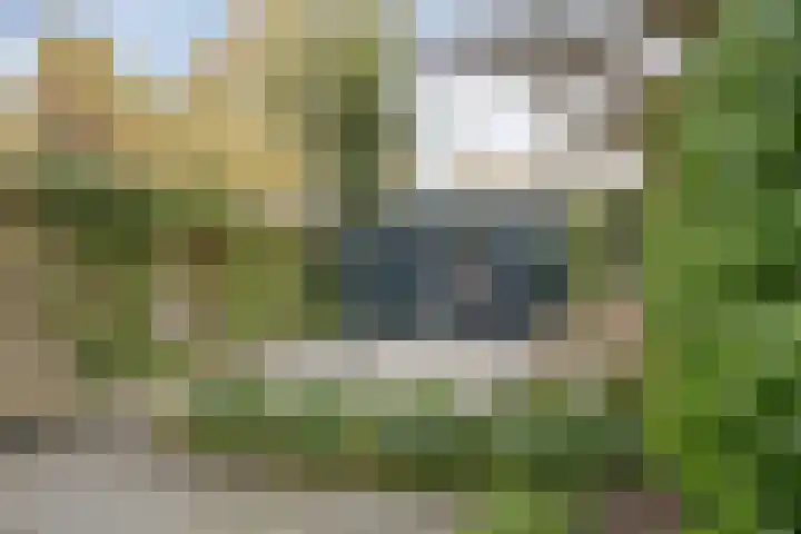 Nieuwstraat 28 Vught thumbnail 4