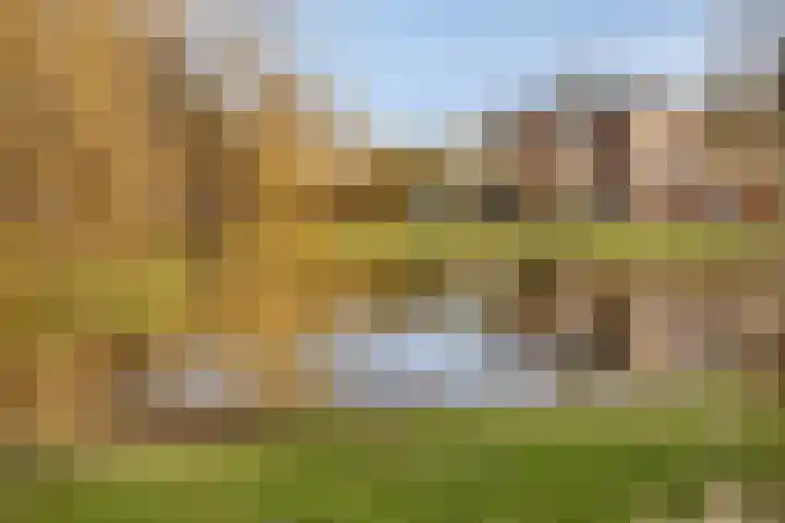 Nieuwstraat 28 Vught thumbnail 46