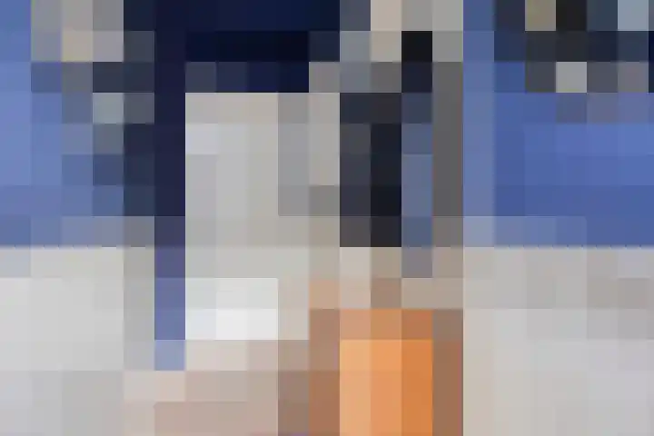 Nieuwstraat 28 Vught thumbnail 5