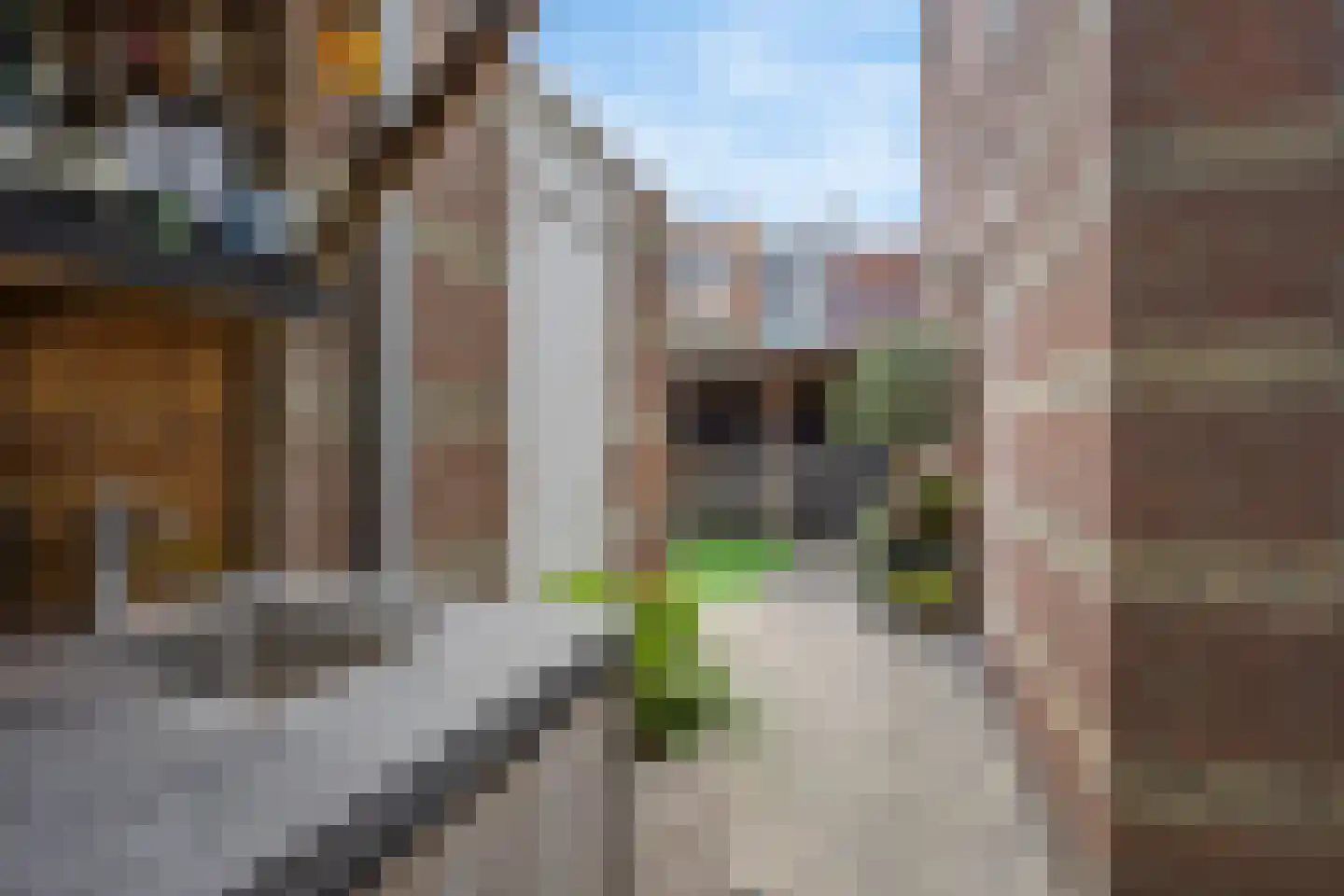 Nieuwstraat 29 A Leidschendam thumbnail 18
