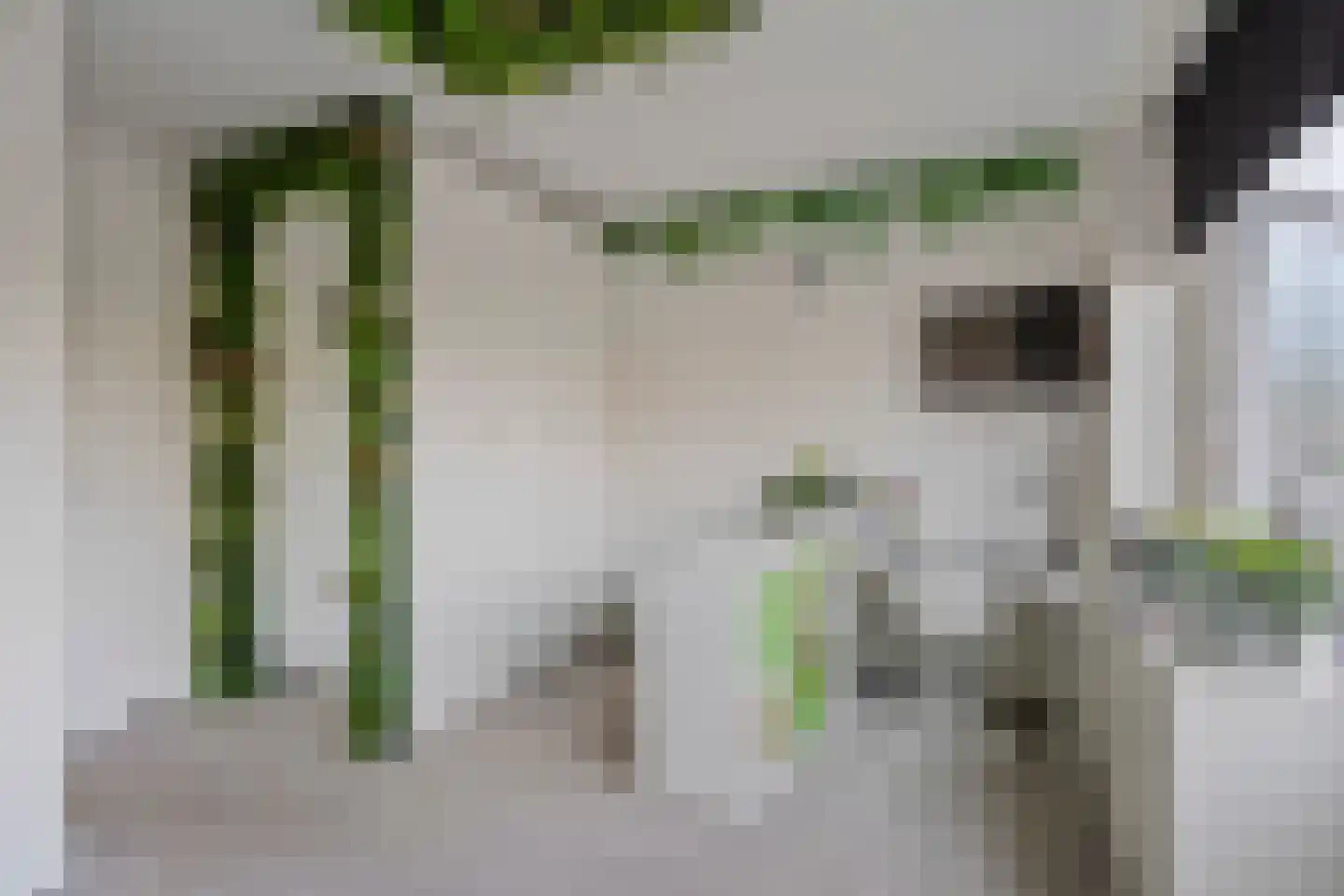 Nieuwstraat 29 A Leidschendam thumbnail 44