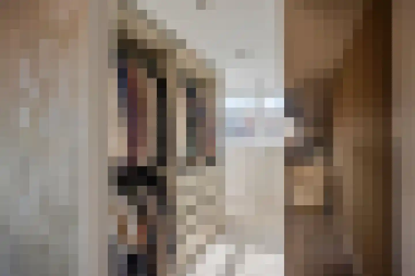 Nieuwstraat 29 A Leidschendam thumbnail 49
