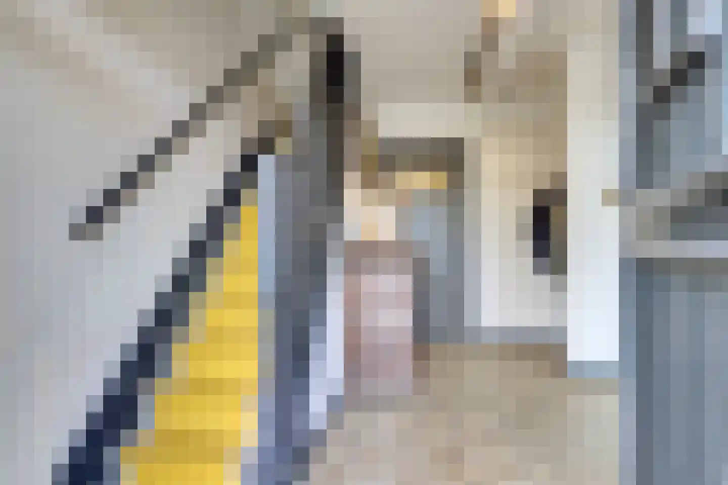 Nieuwstraat 29 Bergeijk thumbnail 12
