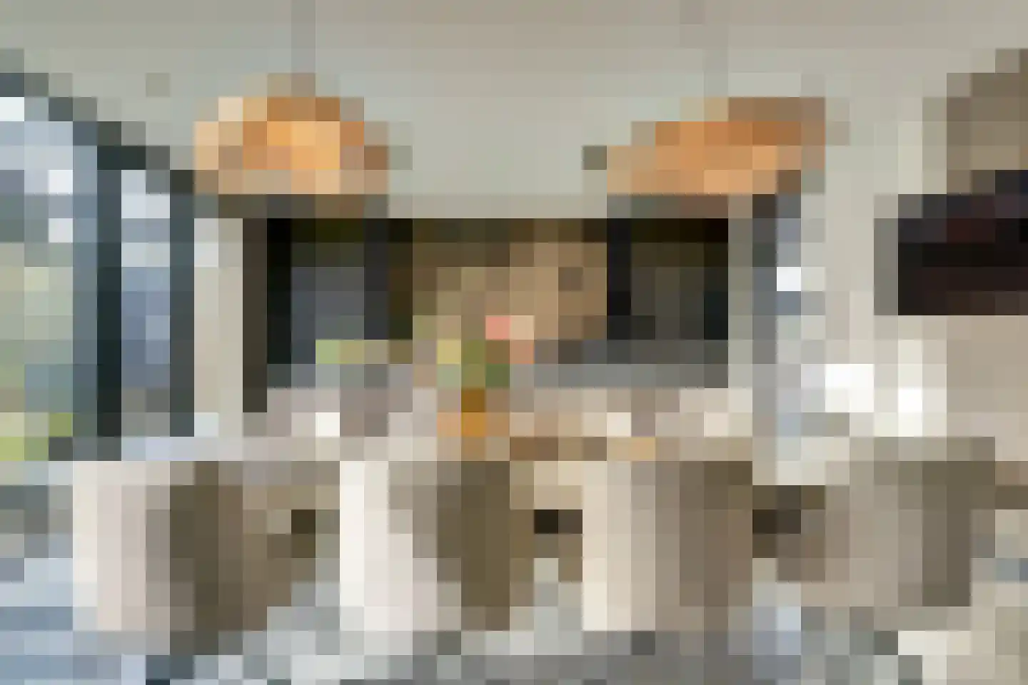Nieuwstraat 29 Bergeijk thumbnail 23