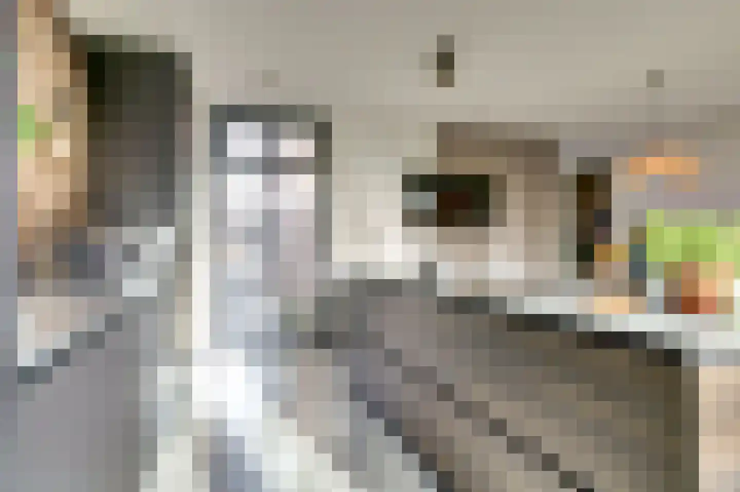 Nieuwstraat 29 Bergeijk thumbnail 28