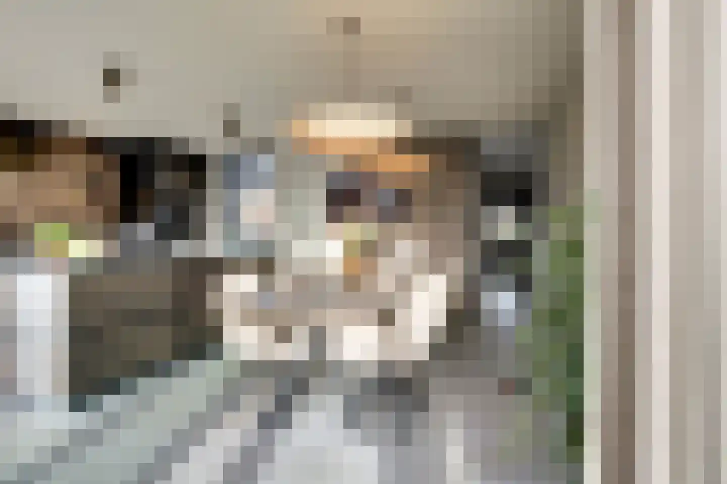 Nieuwstraat 29 Bergeijk thumbnail 29
