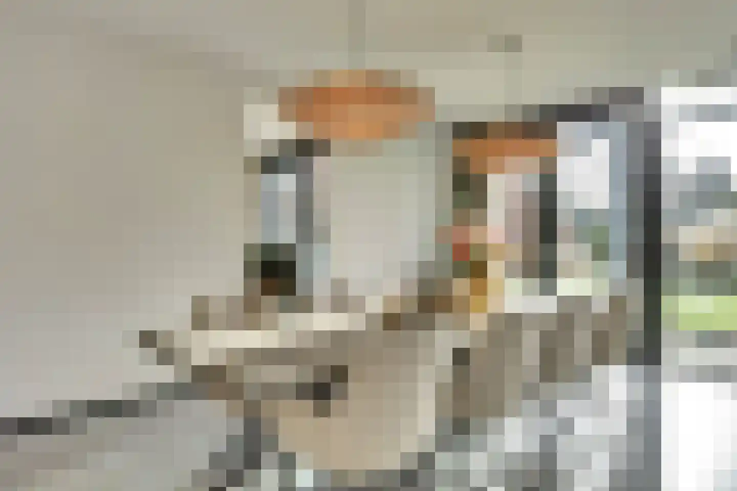 Nieuwstraat 29 Bergeijk thumbnail 31