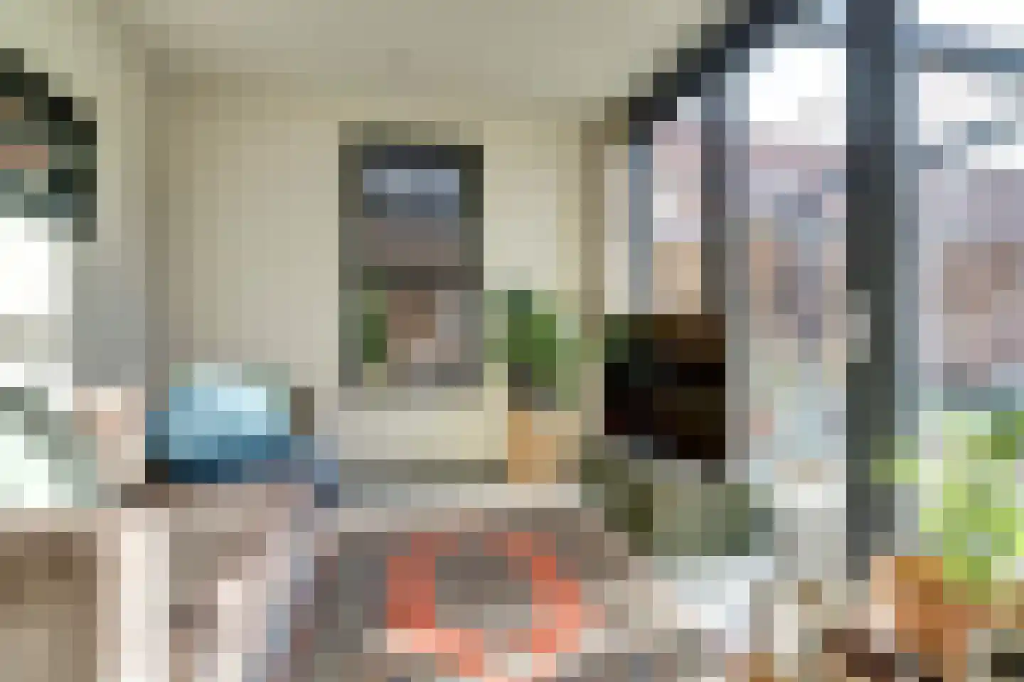 Nieuwstraat 29 Bergeijk thumbnail 32