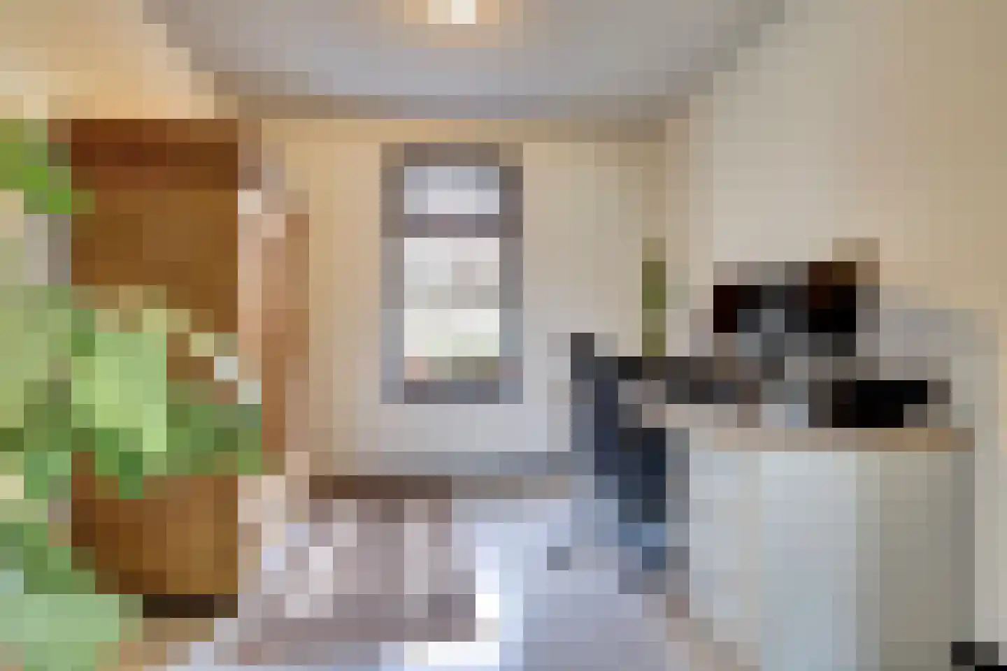 Nieuwstraat 29 Bergeijk thumbnail 34