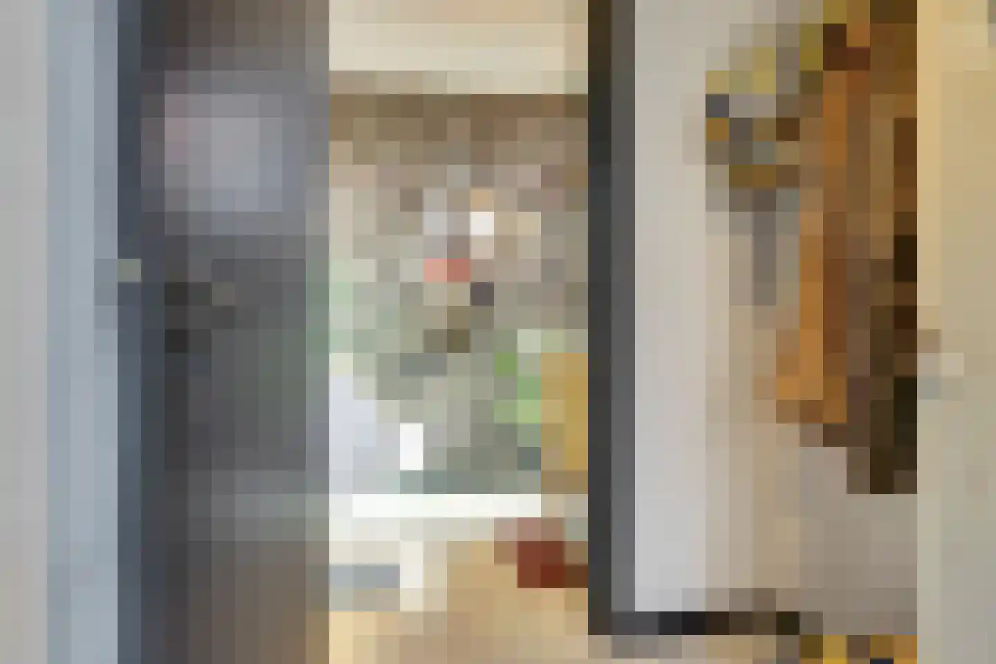Nieuwstraat 29 Bergeijk thumbnail 37