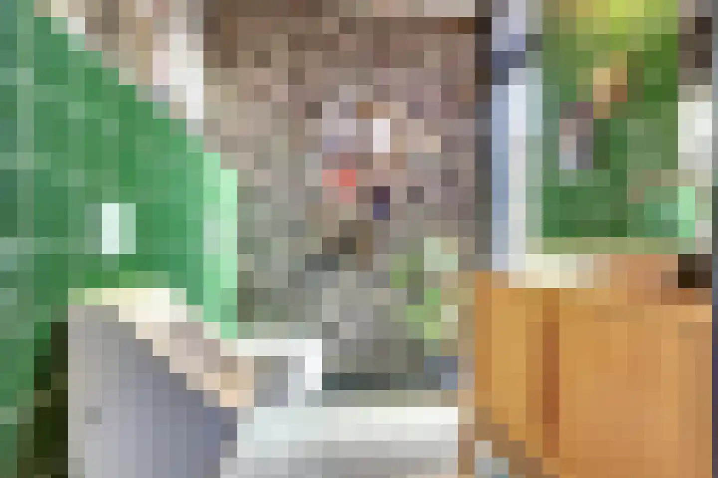 Nieuwstraat 29 Bergeijk thumbnail 38