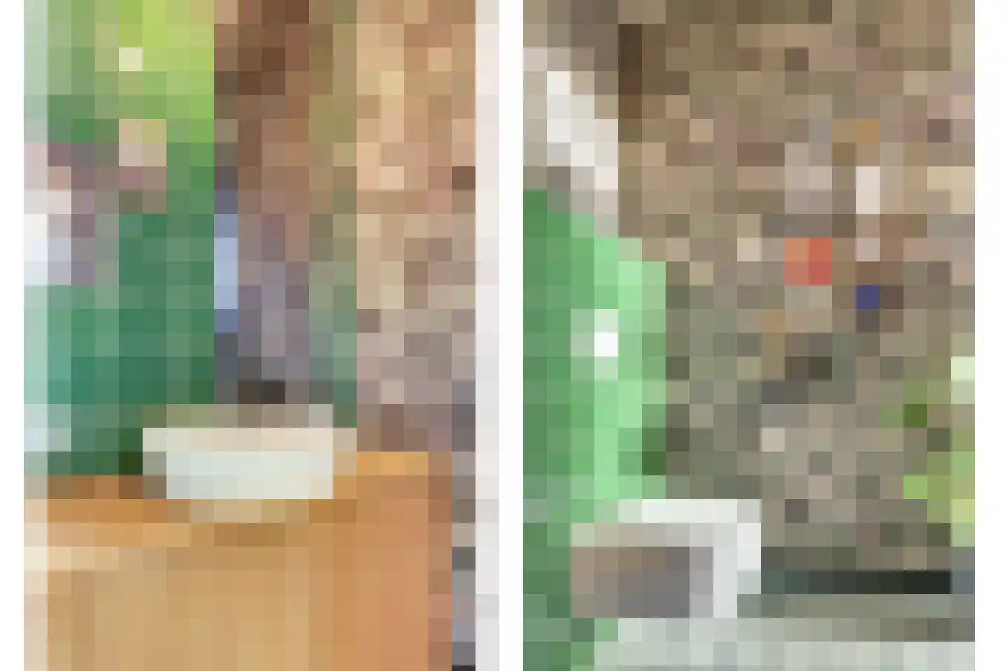 Nieuwstraat 29 Bergeijk thumbnail 39