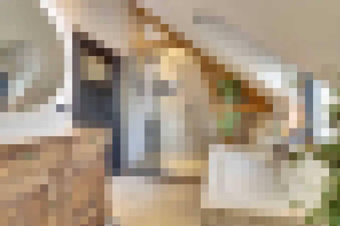 Nieuwstraat 29 Bergeijk thumbnail 51